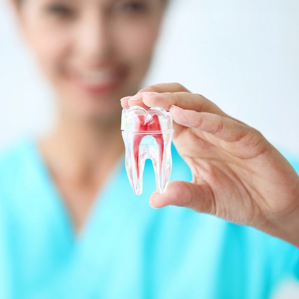 Le traitement endodontique Antibes